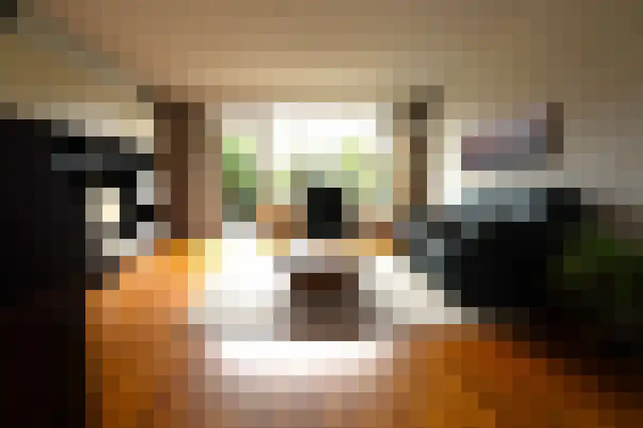 Basielhof 14 Oosterhout thumbnail 17