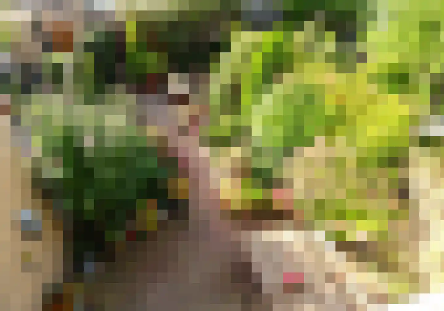 Basielhof 14 Oosterhout thumbnail 24