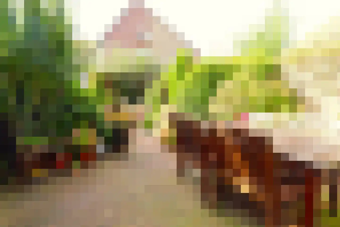 Basielhof 14 Oosterhout thumbnail 4