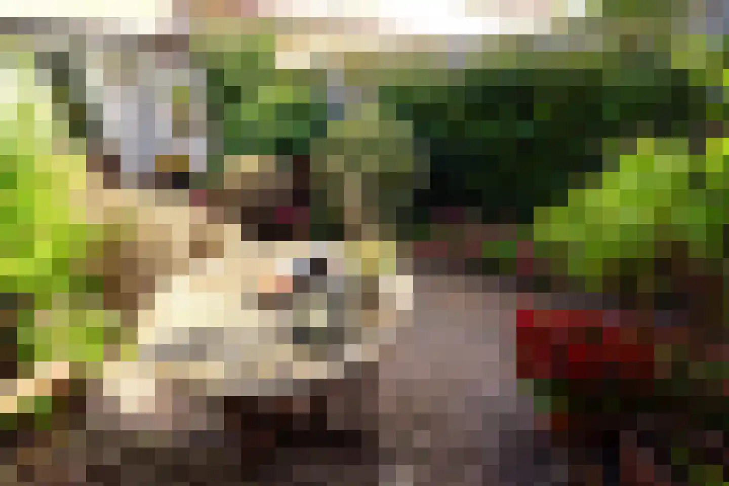 Basielhof 14 Oosterhout thumbnail 5