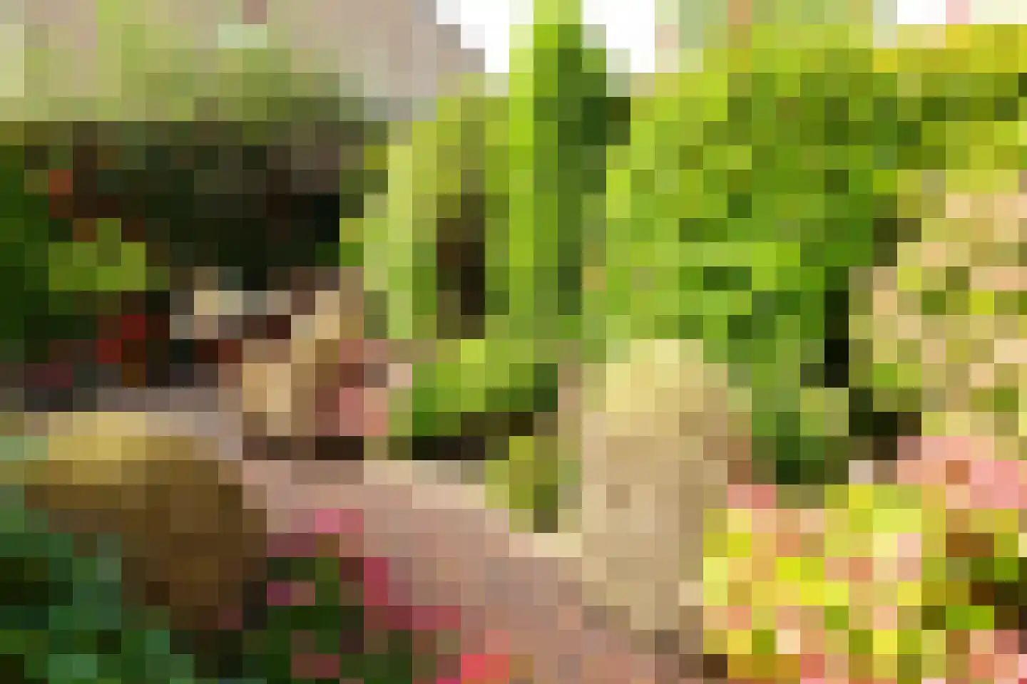 Basielhof 14 Oosterhout thumbnail 6