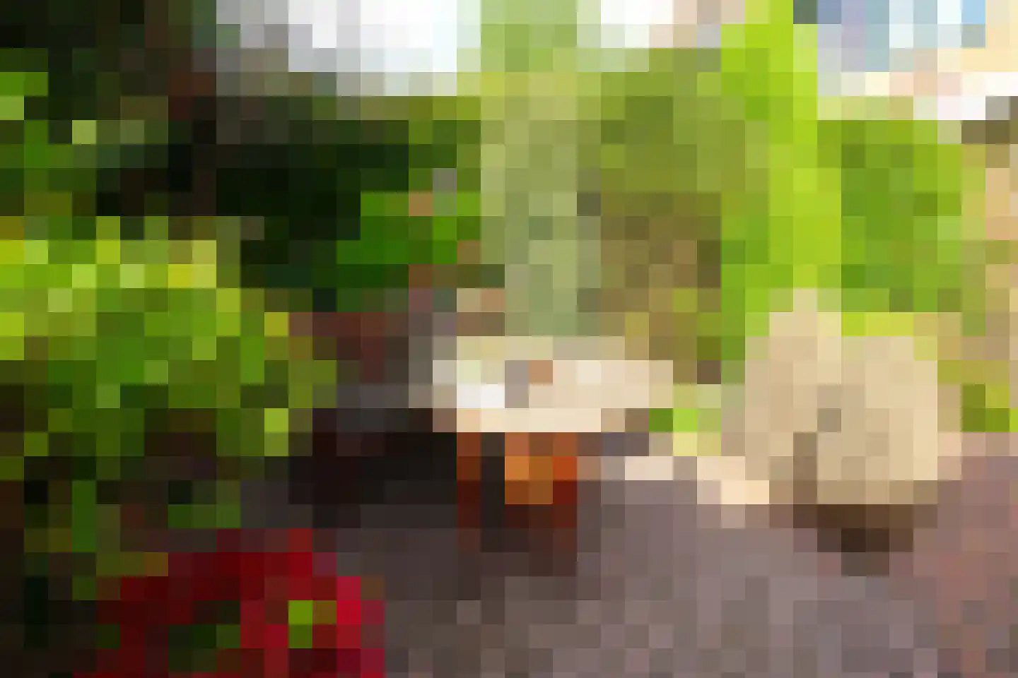 Basielhof 14 Oosterhout thumbnail 8