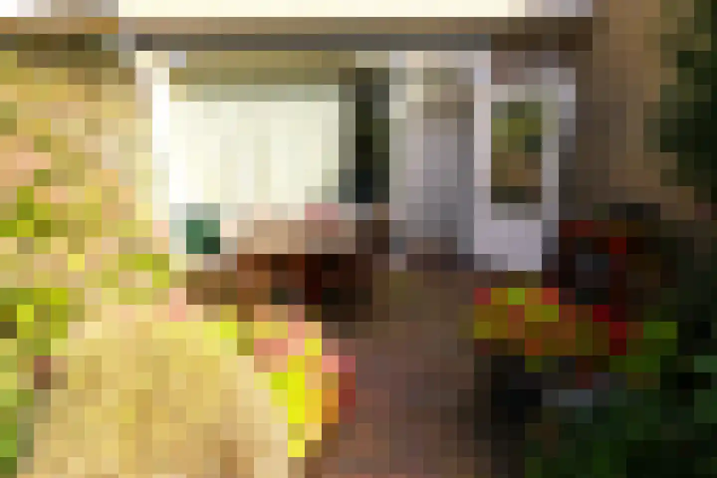 Basielhof 14 Oosterhout thumbnail 9