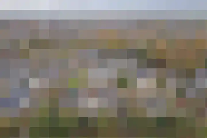 Basielhof 54 Oosterhout thumbnail 29