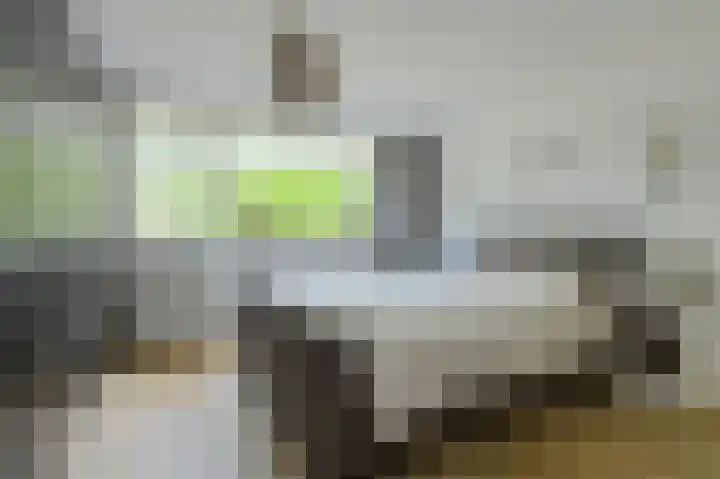 Basielhof 79 Oosterhout thumbnail 16