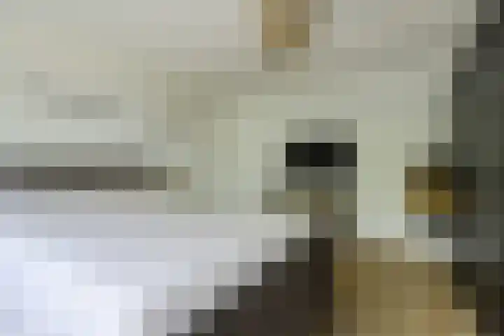 Basielhof 79 Oosterhout thumbnail 17