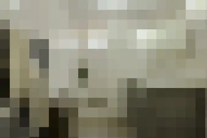 Basielhof 79 Oosterhout thumbnail 22