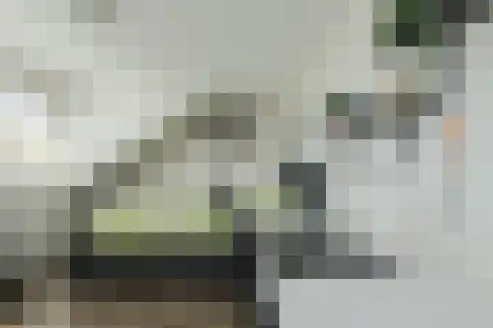 Basielhof 79 Oosterhout thumbnail 29