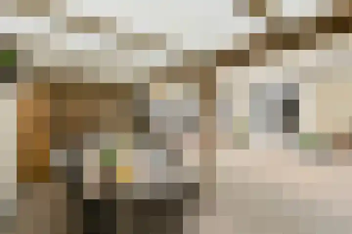 Basielhof 79 Oosterhout thumbnail 37