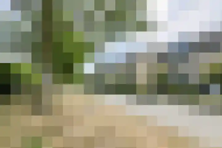 Basielhof 79 Oosterhout thumbnail 38