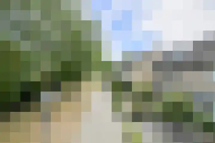 Basielhof 79 Oosterhout thumbnail 39