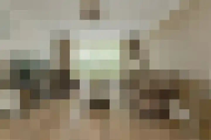 Basielhof 79 Oosterhout thumbnail 4