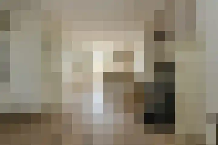 Basielhof 79 Oosterhout thumbnail 6