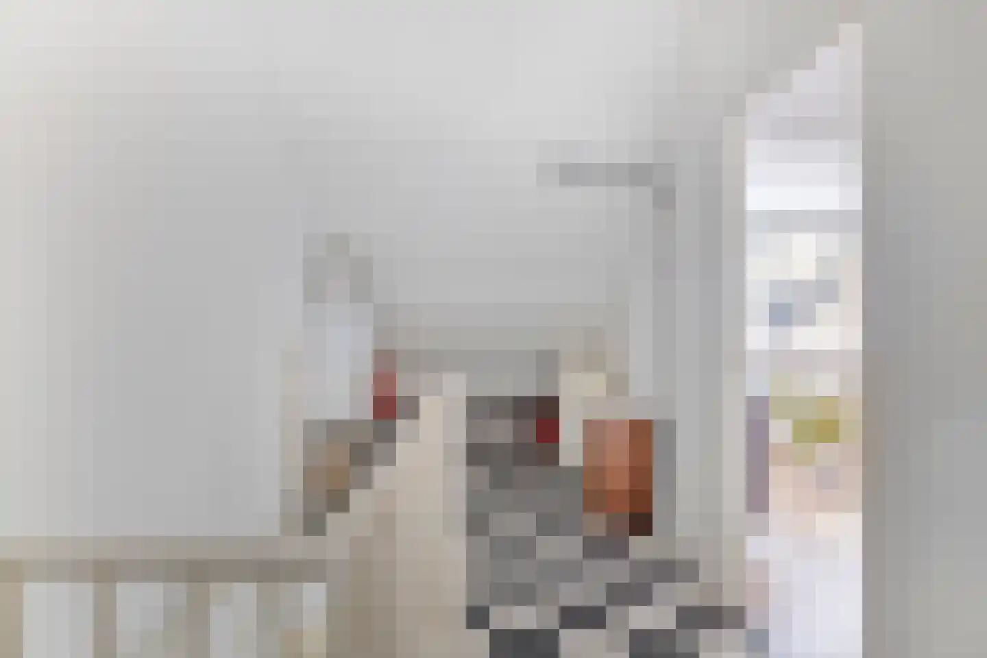 Basielhof 99 Oosterhout thumbnail 33