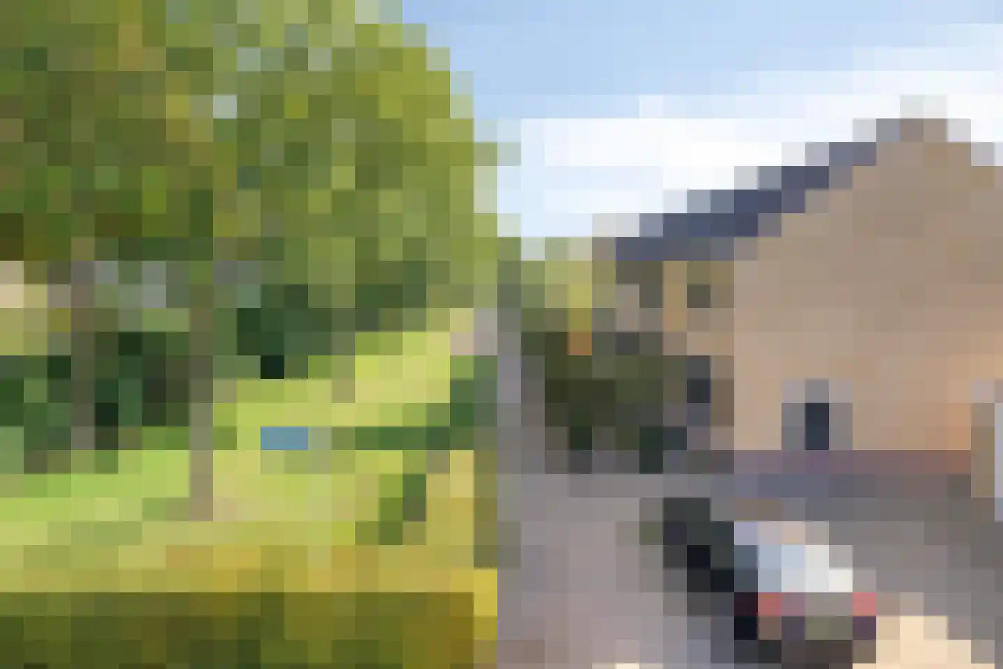 Basielhof 99 Oosterhout thumbnail 46