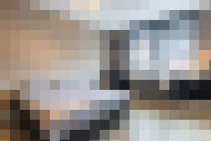 Basil Scarfflaan 21 Herwijnen thumbnail 12