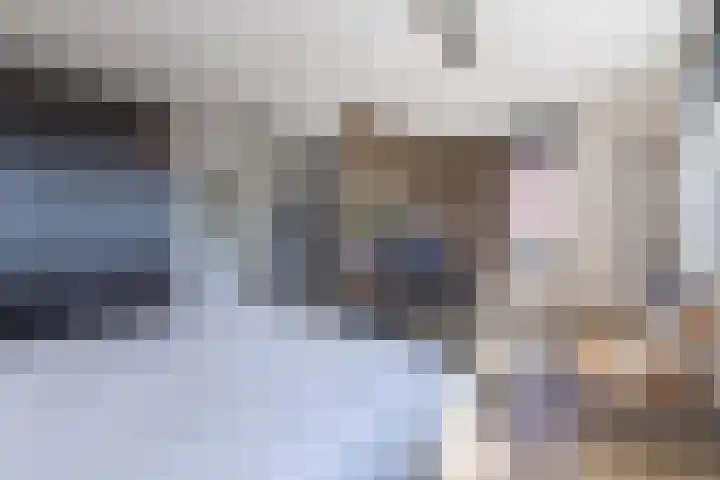 Basil Scarfflaan 21 Herwijnen thumbnail 14