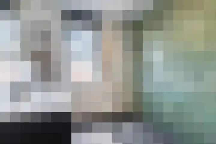 Basil Scarfflaan 21 Herwijnen thumbnail 15