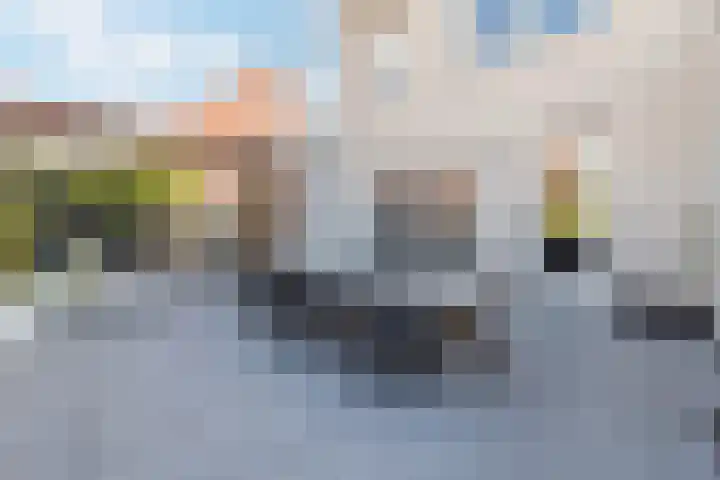 Basil Scarfflaan 21 Herwijnen thumbnail 21
