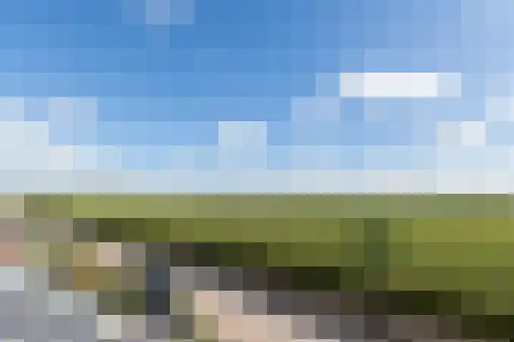Basil Scarfflaan 21 Herwijnen thumbnail 26