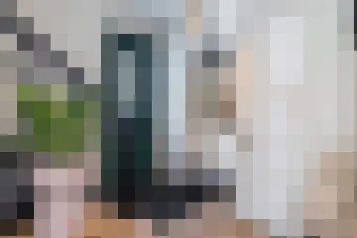Basil Scarfflaan 21 Herwijnen thumbnail 9