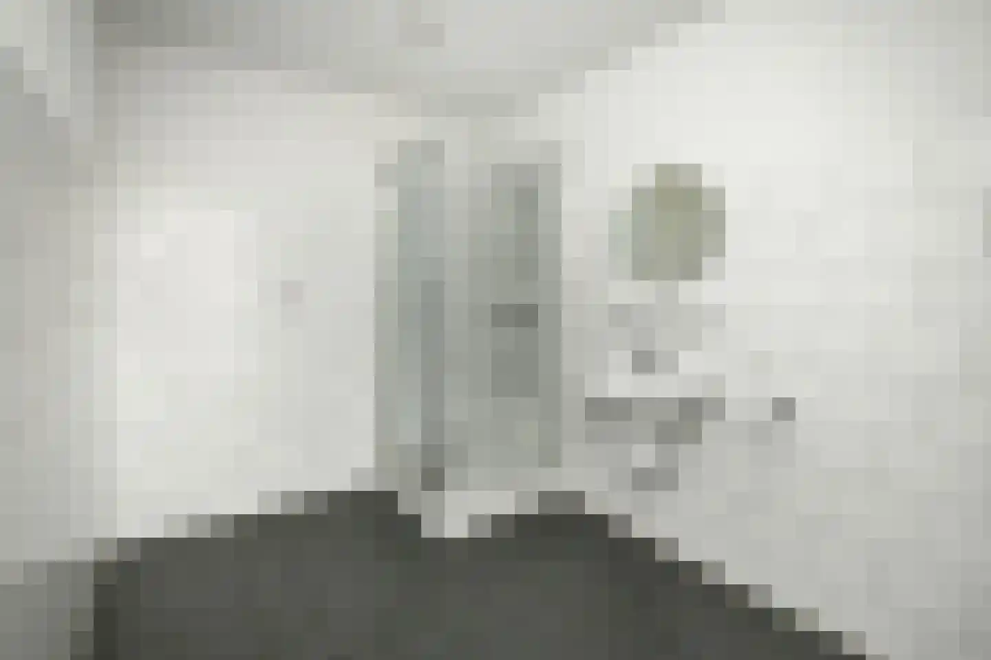 Basilica 103 Elst thumbnail 16