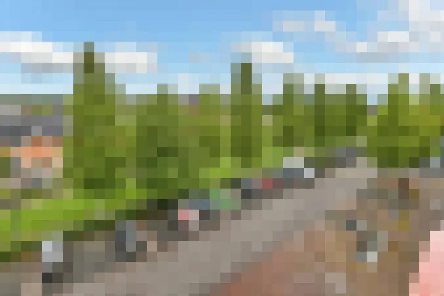 Basilica 103 Elst thumbnail 26
