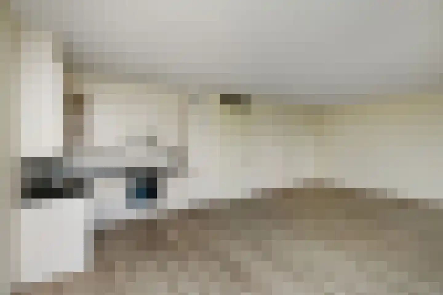 Basilica 103 Elst thumbnail 6