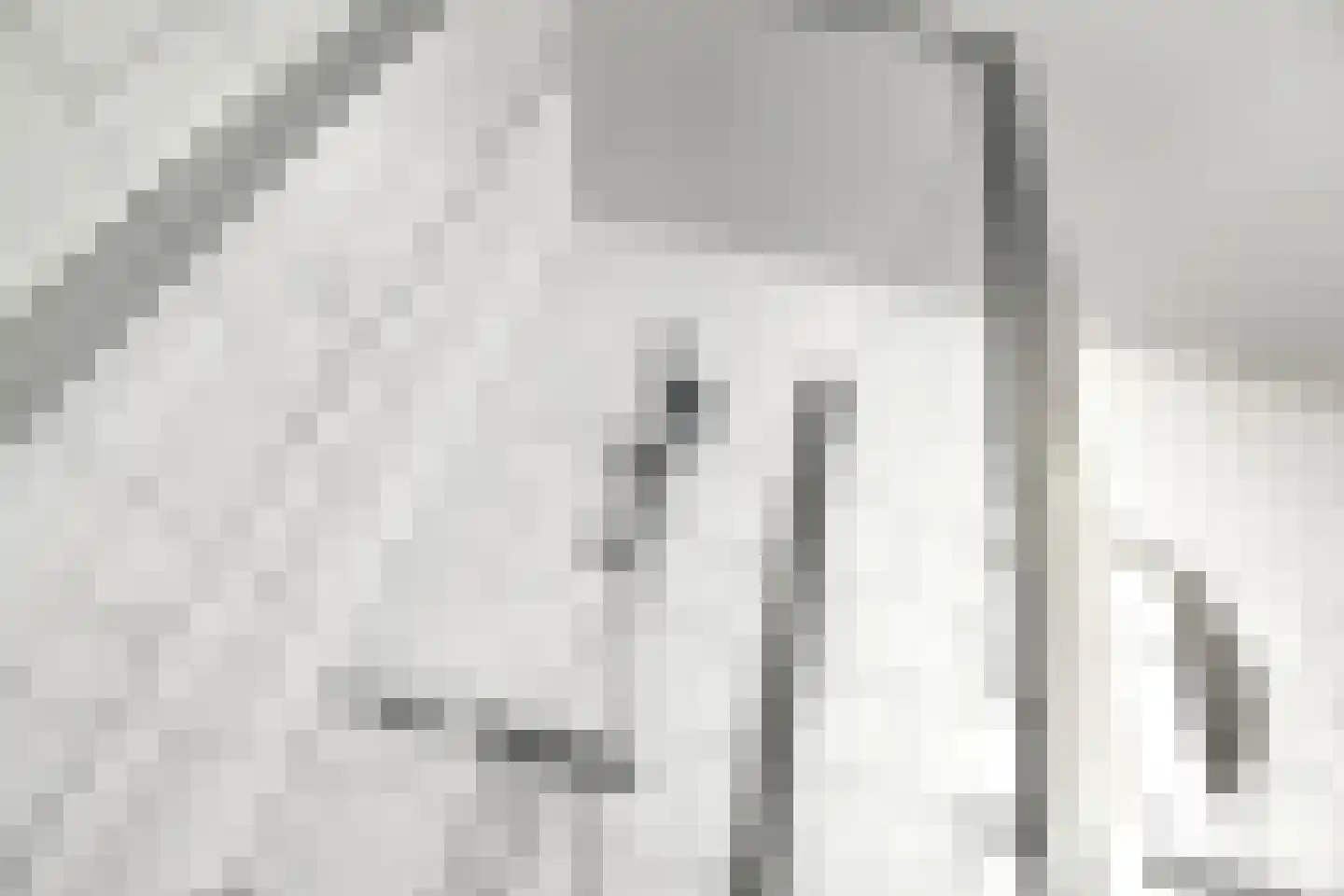 Basilica 115 Elst thumbnail 20