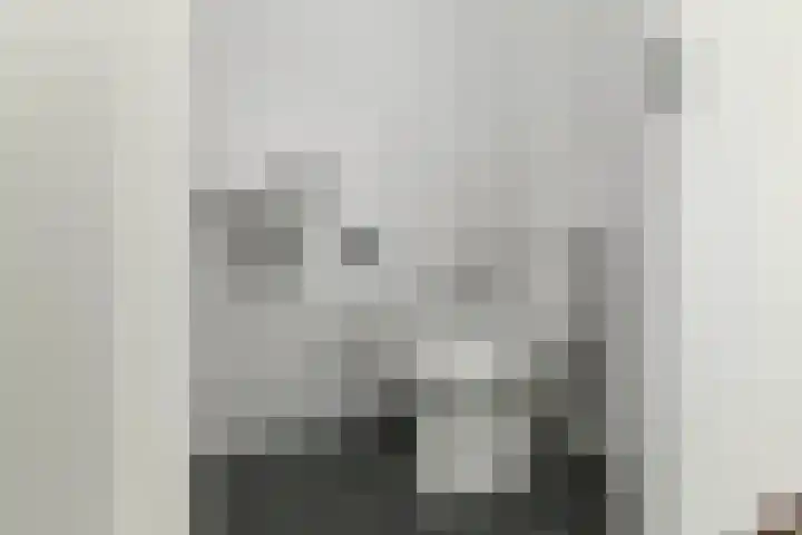 Basilica 115 Elst thumbnail 21