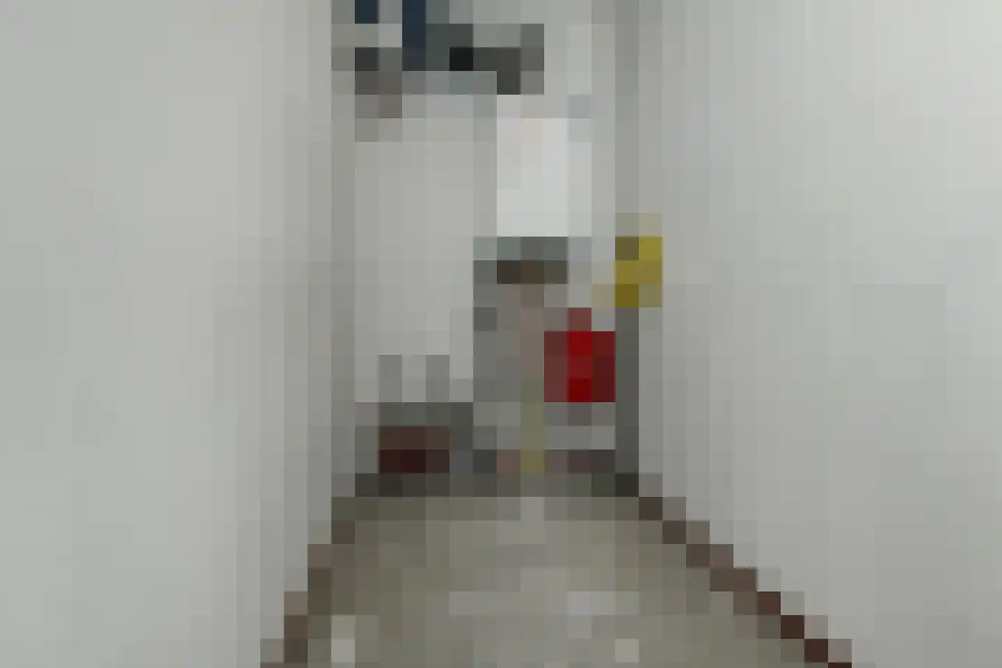 Basilica 115 Elst thumbnail 22