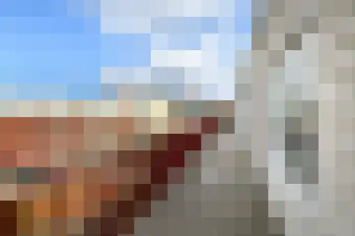 Basilica 115 Elst thumbnail 27