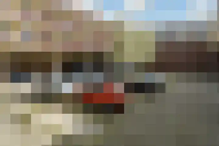 Basilica 115 Elst thumbnail 33