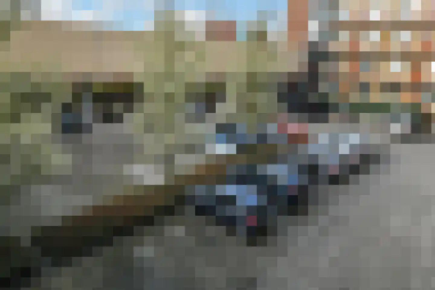 Basilica 115 Elst thumbnail 34