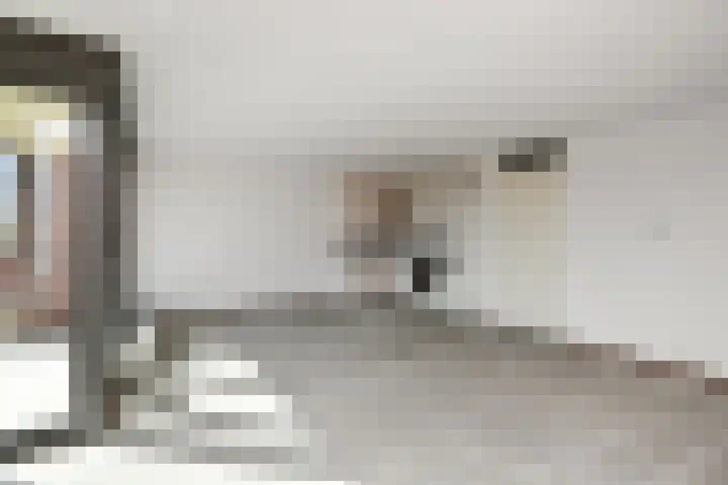 Basilica 115 Elst thumbnail 6