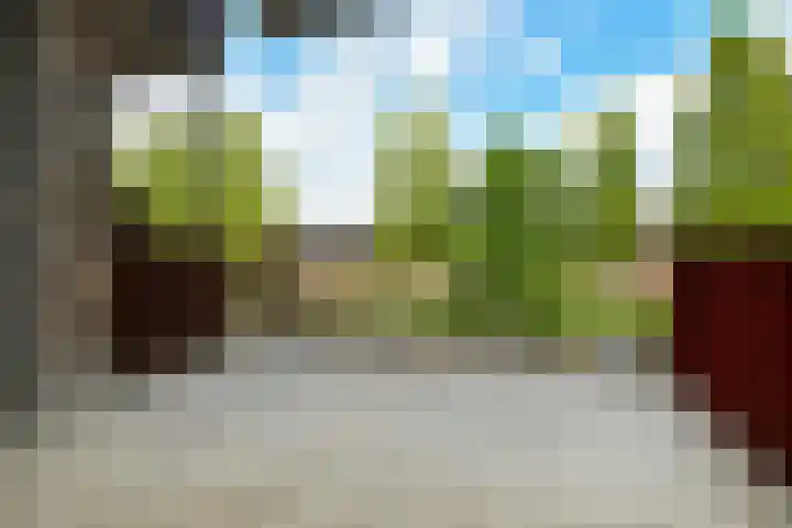 Basilica 43 Elst thumbnail 13