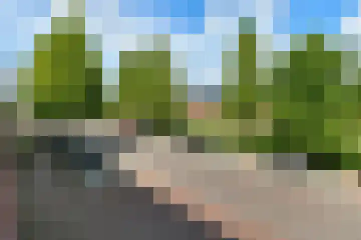 Basilica 43 Elst thumbnail 15