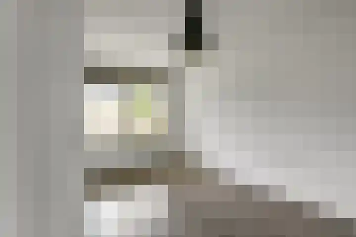 Basilica 43 Elst thumbnail 16