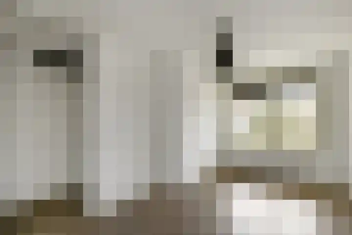 Basilica 43 Elst thumbnail 17