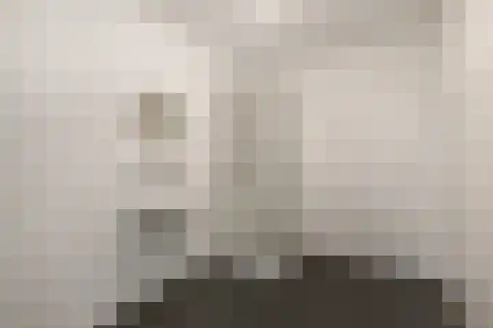 Basilica 43 Elst thumbnail 22