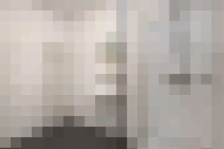 Basilica 43 Elst thumbnail 23