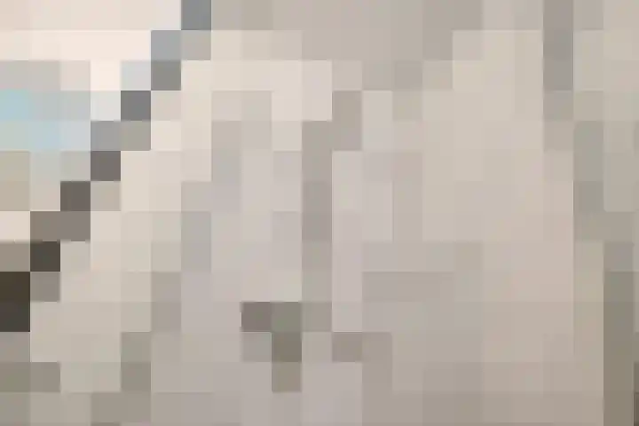 Basilica 43 Elst thumbnail 24