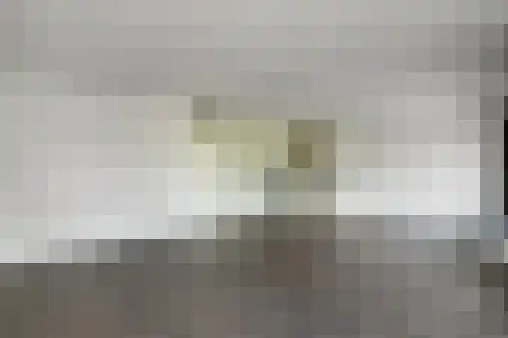 Basilica 43 Elst thumbnail 4