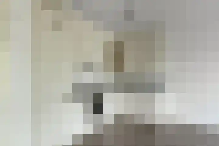 Basilica 43 Elst thumbnail 8