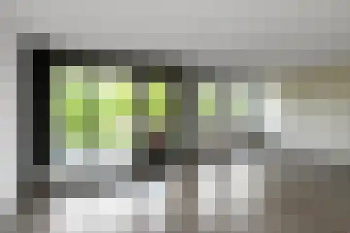 Basilica 43 Elst thumbnail 9