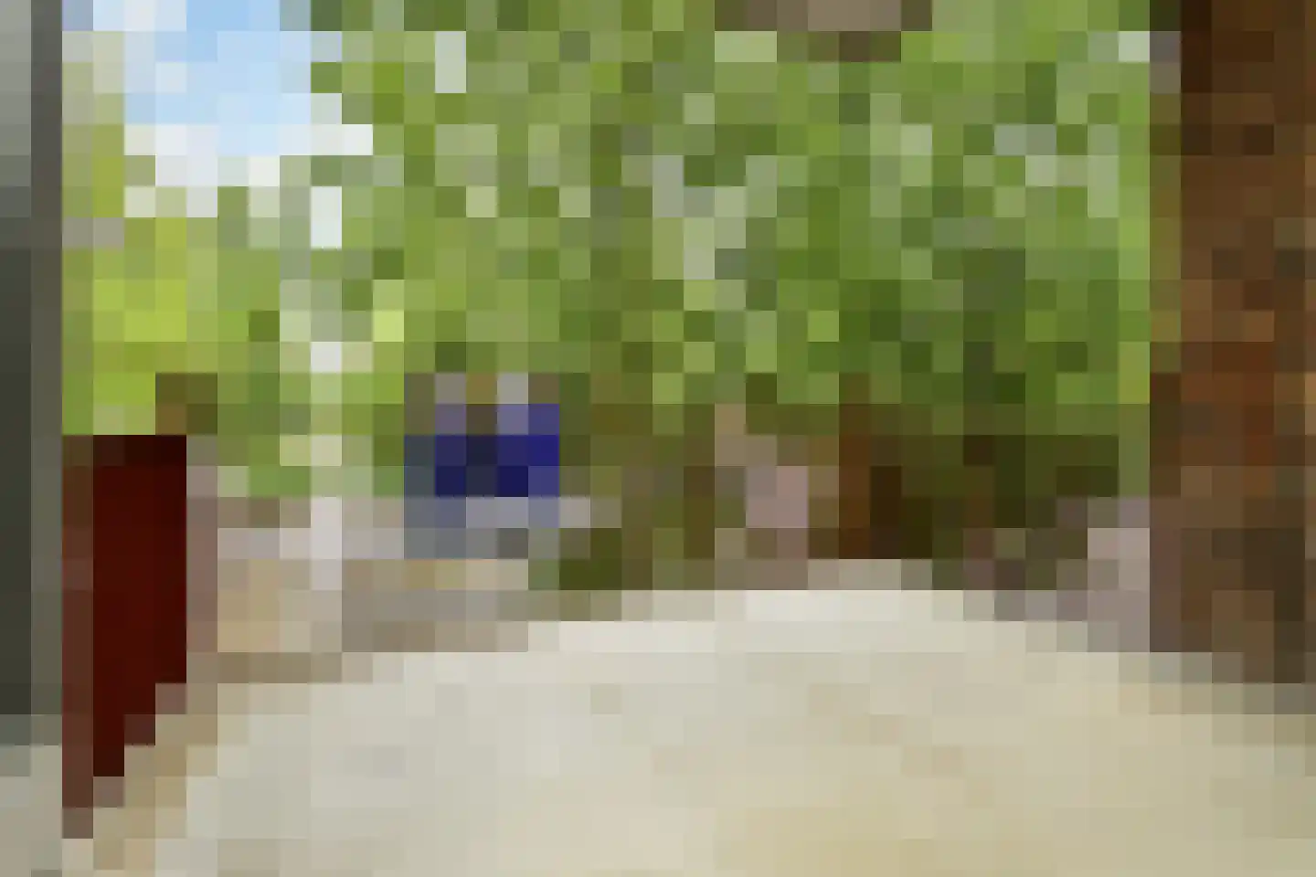 Basilica 53 Elst thumbnail 15
