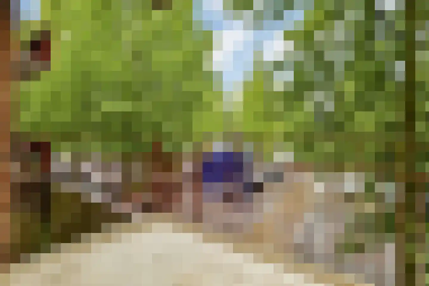 Basilica 53 Elst thumbnail 16