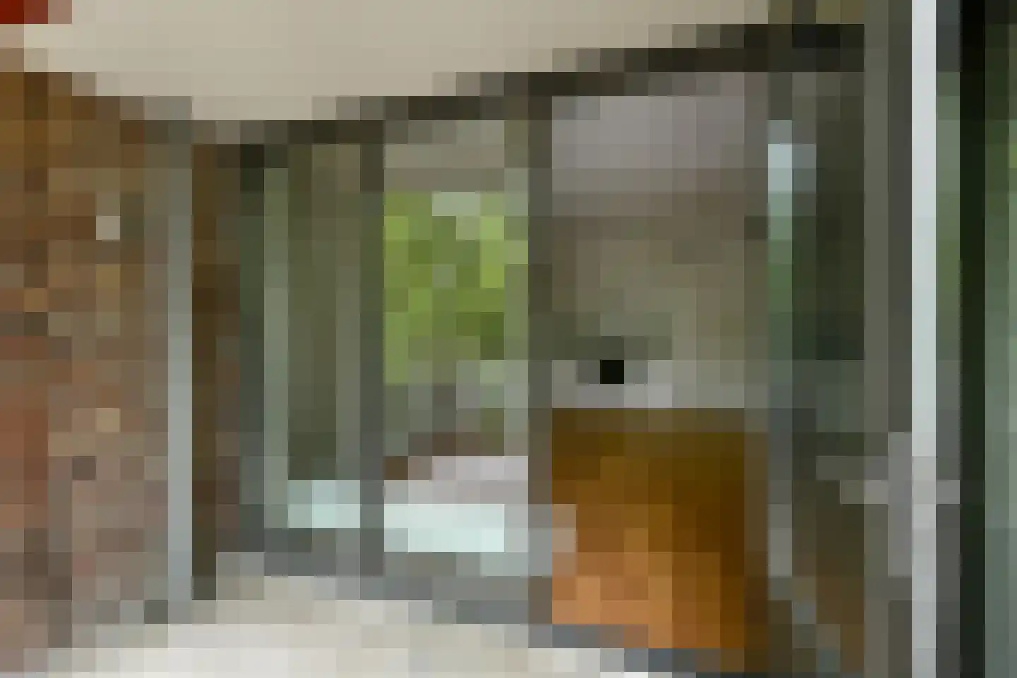 Basilica 53 Elst thumbnail 17