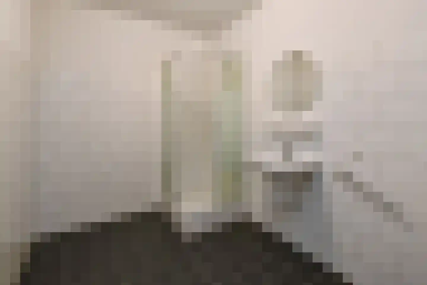 Basilica 53 Elst thumbnail 23