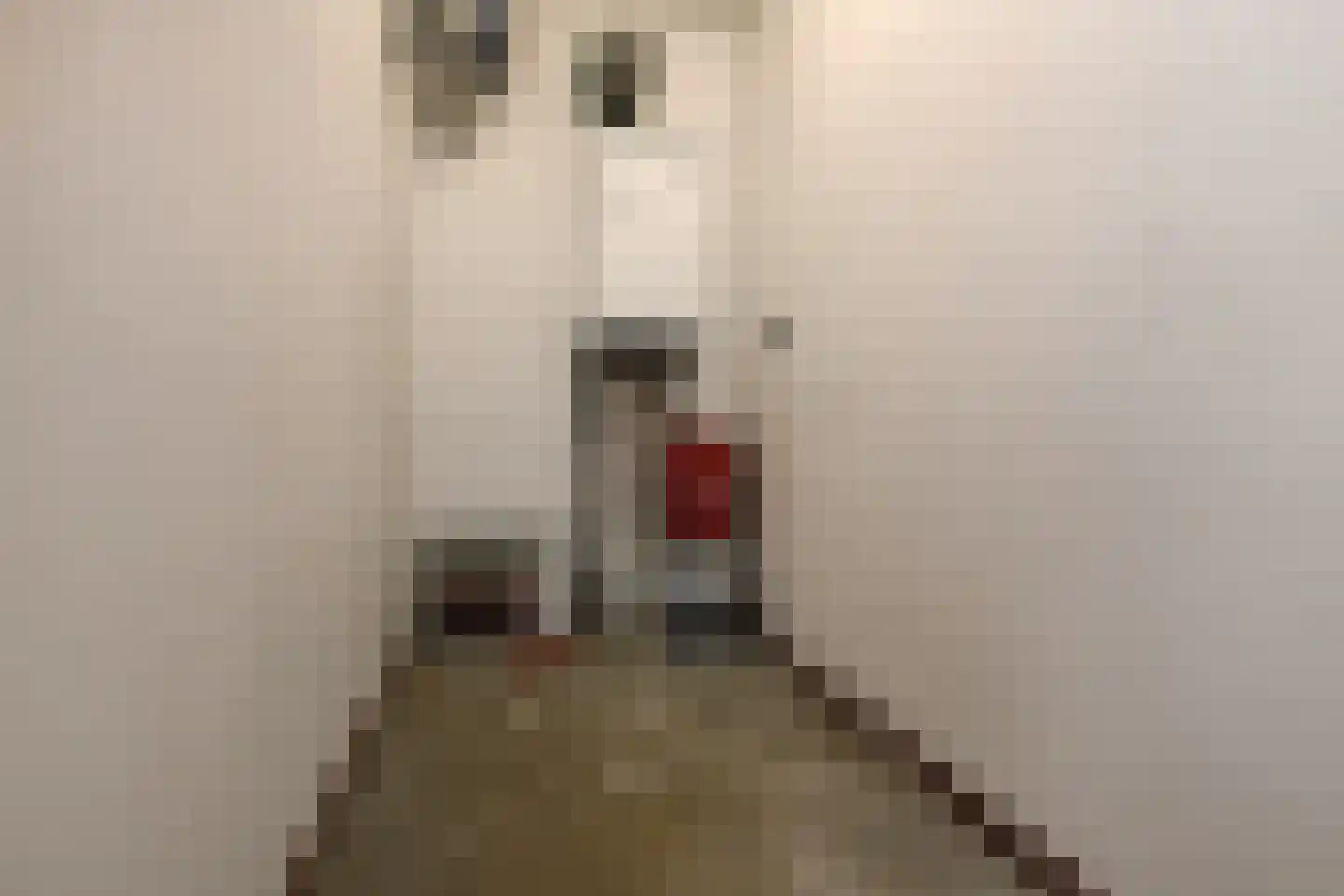 Basilica 53 Elst thumbnail 25